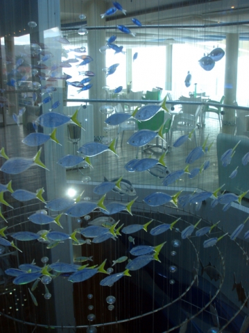 Studio Glassfish Project : Glass Fish Mobile - CapegGlassStudio.com